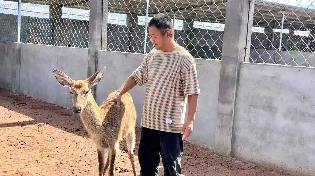 美高梅登陆中心